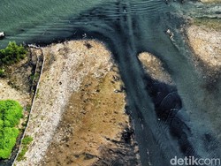 Viral Pulau Sampah di Pesisir Jakut, Tim Gabungan Korve Bersihkan