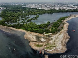 DPRD DKI Tolak Anggaran Pengkajian Reklamasi Pulau Sampah di APBD-P 2024
