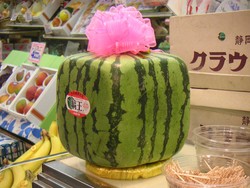 Hanya Ada di Jepang! Ini 5 Buah Unik, Lemon Melon hingga Akebi