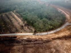 Tol Pertama di Jambi Dikebut Kelar 2024, Pangkas Waktu Perjalanan Jadi 1,5 Jam