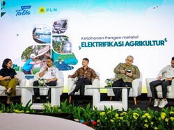 Kementan Dorong Elektrifikasi Hortikultura buat Tingkatkan Daya Saing