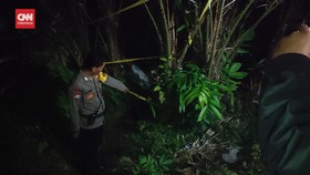 VIDEO: Kasus Mutilasi Terjadi Lagi di Yogyakarta