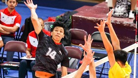 Link Live Streaming Indonesia vs Australia di AVC Cup 2023