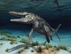 8 Fakta Mosasaurus, Reptil Purba Besar yang Hidup di Lautan