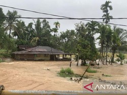 2 Balita Kakak Adik Tewas Tertimbun Longsor di Padang
