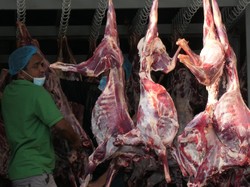 Menag Upayakan Kambing Dam Haji Dapat Disembelih dan Dibagikan di Indonesia