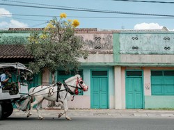 Kota Tua Ampenan Mataram: Sejarah, Daya Tarik, Tiket Masuk