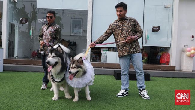 Nena Ghoib memberikan klarifikasi dan menyatakan permintaan maaf atas penggunaan adat jawa dalam pernikahan sepasang anjing bernama Jojo dan Luna.