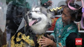 Nena Ghoib dkk Dipolisikan Buntut Pernikahan Anjing Pakai Adat Jawa