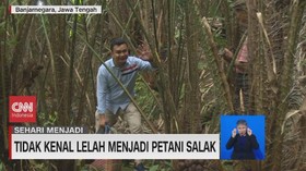 VIDEO: Sehari Menjadi Petani Salak Banjarnegara