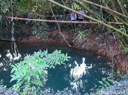 Miris! Mata Air di Karawang Terancam Jalan Tol Jakarta-Cikampek II