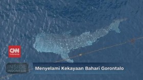 VIDEO: Menyelami Kekayaan Bahari Gorontalo
