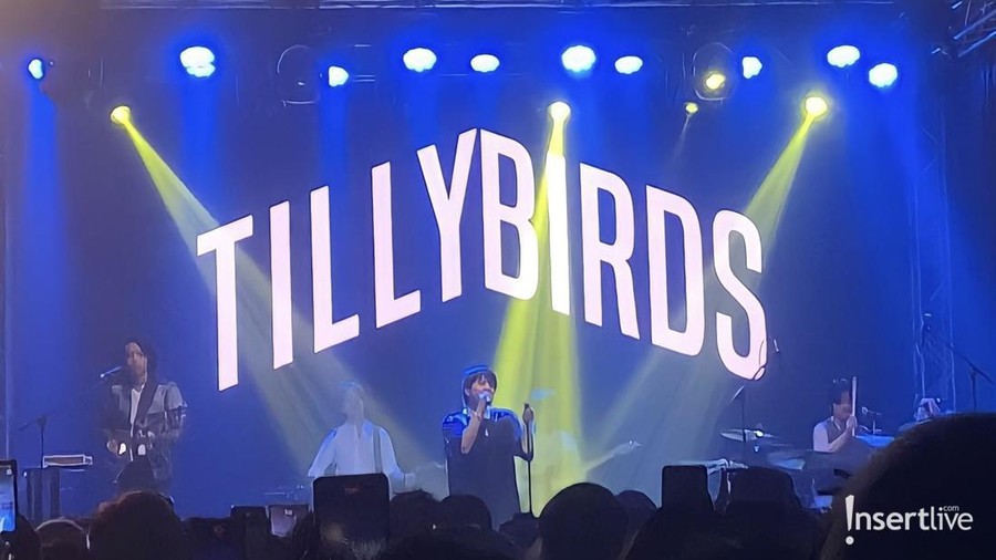 Tilly Birds
