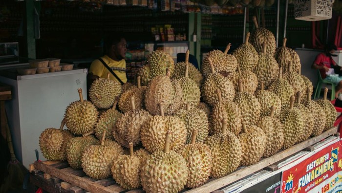 Cuma Bisa Dinikmati Para Sultan, Ini 5 Jenis Durian Termahal di Dunia yang Harganya Mencapai Rp681 Juta!