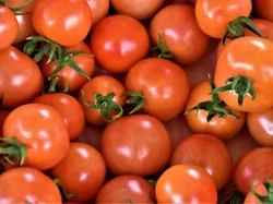 5 Makanan Tinggi Antioksidan Ini Bisa Turunkan Risiko Kanker