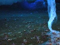 Brinicle, Fenomena Tornado Bawah Laut Membekukan dan Mematikan
