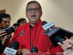 Hasto Ungkap TPN Ganjar-Mahfud Blusukan Serentak Bagikan Telur Rebus Pindang