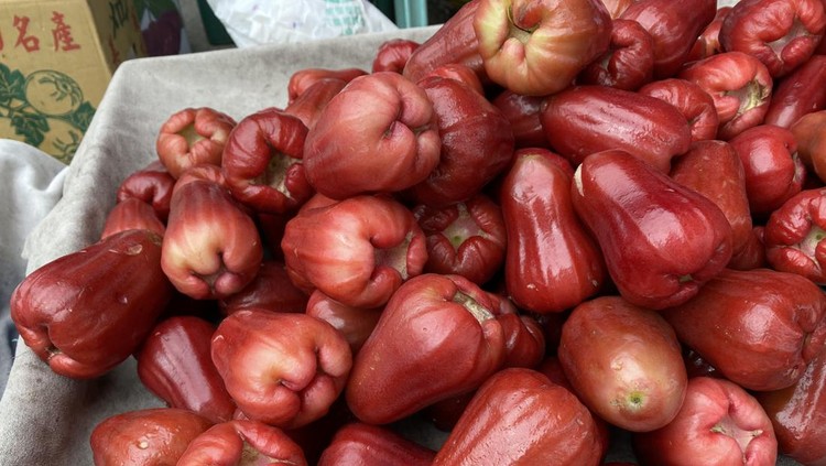 1436391005 Selected focus for Watery rose apple