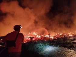 Kebakaran Kandang Mojokerto Panggang 18 Ribu Ayam, Kerugian Rp 600 Juta