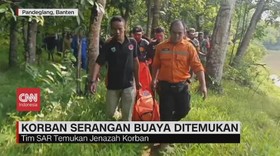 VIDEO: Korban Serangan Buaya di Pandeglang Ditemukan