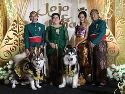 Pernikahan Anjing Pakai Adat Jawa Dikecam!