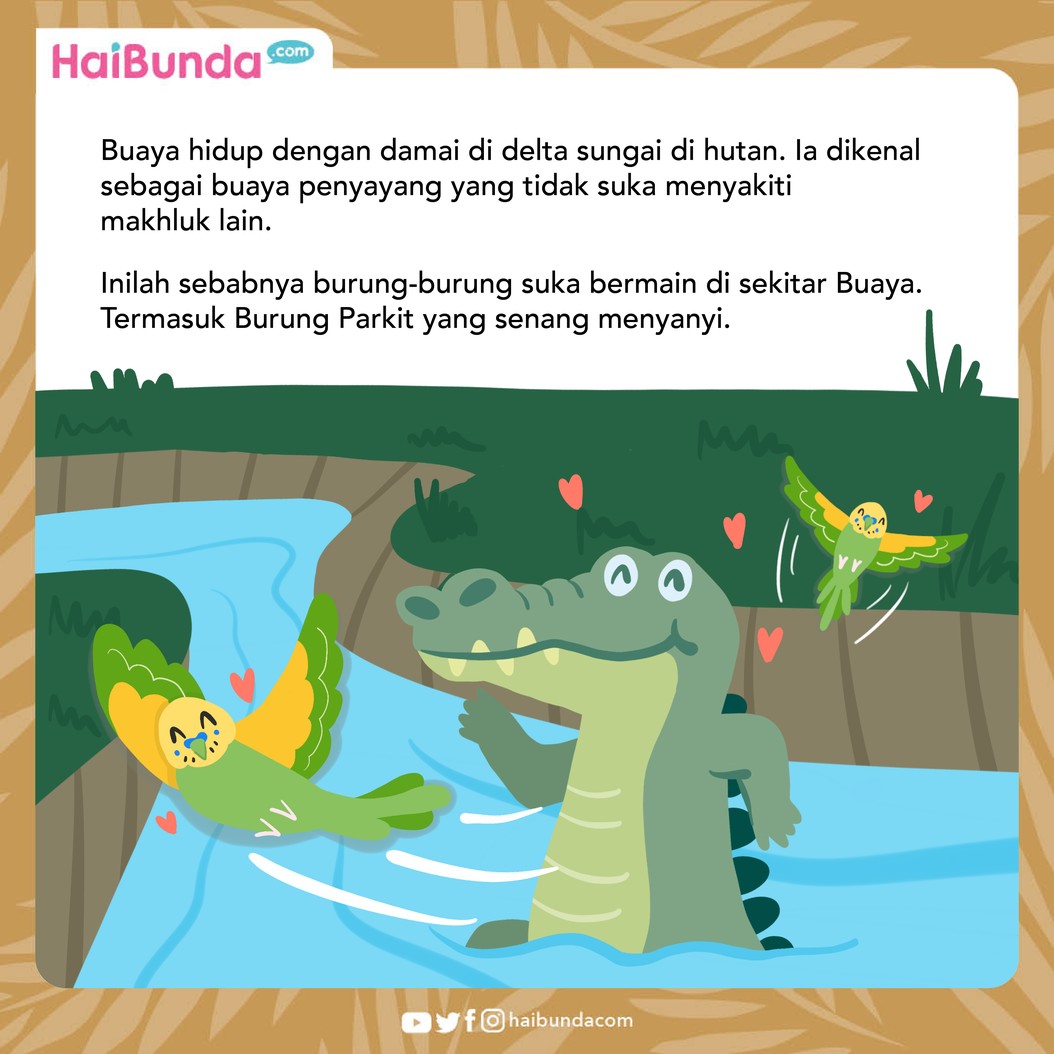 Buaya dan Burung Parkit Bernyanyi
