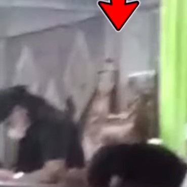 Muncul Penampakan Bermahkota di Pengajian Gus Miftah, Diduga Nyi Roro Kidul