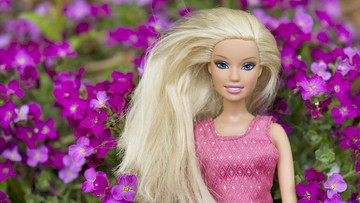 BONEKA BARBIE PALING MAHAL