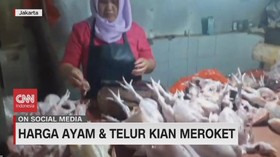 VIDEO: Harga Ayam & Telur Kian Meroket