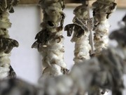 Upaya Bulog Bantu UMKM Berjaya di Negeri Sendiri