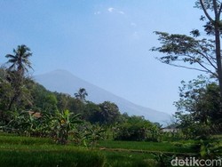 Investasi Ala Pemerintah untuk Genjot Produksi Pertanian di Kuningan