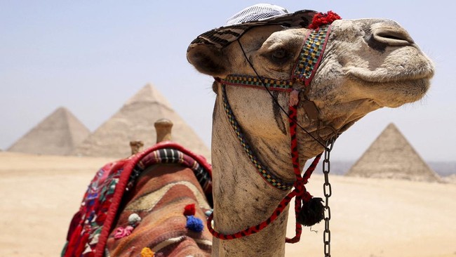 FOTO: Menikmati Keagungan Piramida Giza Saat Musim Panas di Mesir