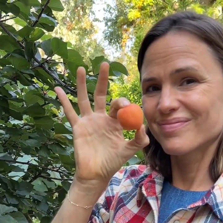 <p>Pekarangan Jennifer sangat luas dan dipenuhi dengan berbagai macam tanaman. Beberapa tumbuhan yang ditanam oleh Jennifer antara lain jeruk, blueberry, hingga apel. (Foto: Instagram @jennifer.garner)</p>