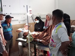 Respons Bupati Batanghari soal Warganya Jadi Korban Serangan Beruang