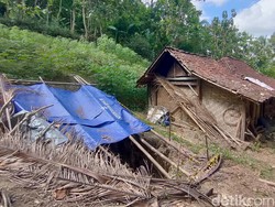 Lubang Misterius Muncul di Pekarangan Warga Kalibawang Kulon Progo