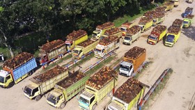 Jokowi Restui Dana Sawit Minimal 4 Persen APBN, Rp3,4 T Siap Cair