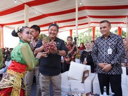 Festival Bawang Merah Jadi Ajang Perayaan & Pengenalan Pertanian Brebes