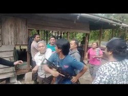Sekeluarga Serang-Rampas Senpi Polisi Hingga Rumah Anggota KPU Madina Dibobol