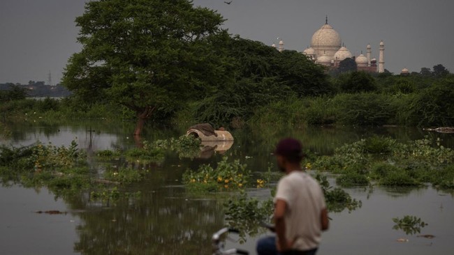 FOTO: Taj Mahal Terancam 'Tenggelam' Akibat Sungai Yamuna India Meluap