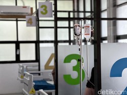 Kasus Talasemia di RI Meningkat, Paling Banyak Ditemukan di Wilayah Ini