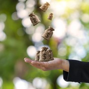 Apa Itu Greenflation yang Sedang Ramai Diomongin? Ini yang Perlu Kamu Ketahui