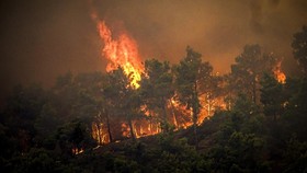 Anak Gunung Penanggungan Terbakar, Jalur Pendakian Sempat Ditutup