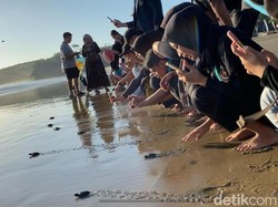 Konservasi Segoro Lestari, Penjaga Mulia Ekosistem Penyu di Pesisir Blitar