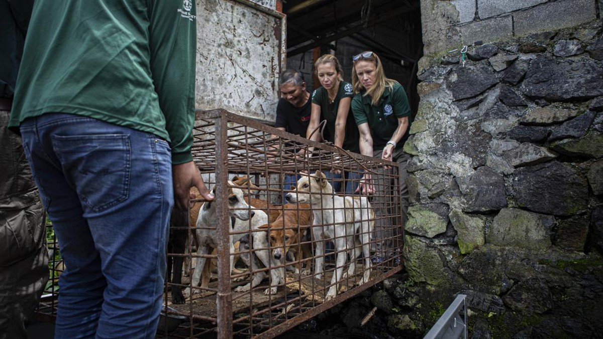 FOTO: Pasar "Ekstrem" Tomohon Setop Jual Daging Anjing dan Kucing