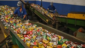 FOTO: Kisah Pemulung Kaleng Minuman Brasil Pangkas Pemanasan Global