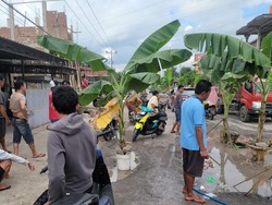 Janji Pemprov Sulsel Perbaiki Jalan Sidrap-Soppeng Usai Ditanami Pohon Pisang