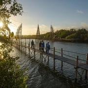 26 Juli Hari Mangrove Sedunia: Ini Sejarah dan 5 Rekomendasi Wisata Mangrove di Indonesia oleh Kemenparekraf!