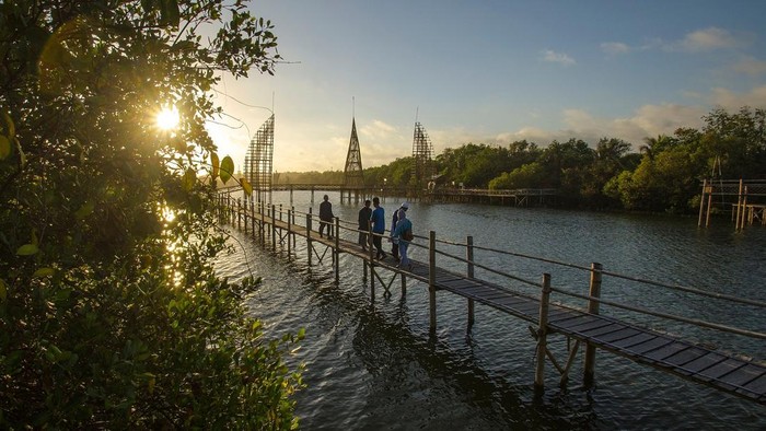 26 Juli Hari Mangrove Sedunia: Ini Sejarah dan 5 Rekomendasi Wisata Mangrove di Indonesia oleh Kemenparekraf!