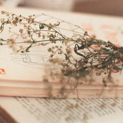 Memperingati Hari Puisi Indonesia: 5 Buku Puisi Ini Selalu Jadi Favorit dan Direkomendasi Banyak Orang