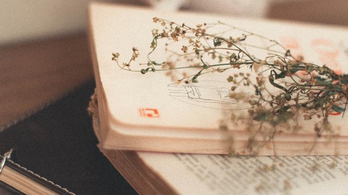 Memperingati Hari Puisi Indonesia: 5 Buku Puisi Ini Selalu Jadi Favorit dan Direkomendasi Banyak Orang